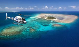 摩尔庄园水煮大闸蟹