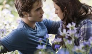 斯图尔特和帕丁森