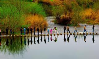 清明节古诗大全50首