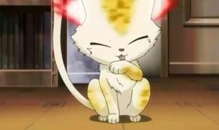 家庭教师reborn动漫