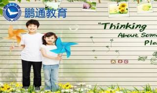 应届生求职简历表格