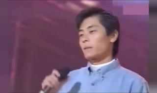 刘德华和王杰的电影