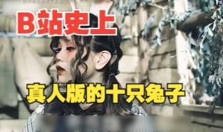 十只兔子背后的故事