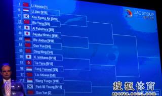 2011年鹿特丹世乒赛