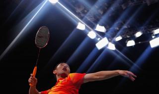 2012伦敦奥运会羽毛球